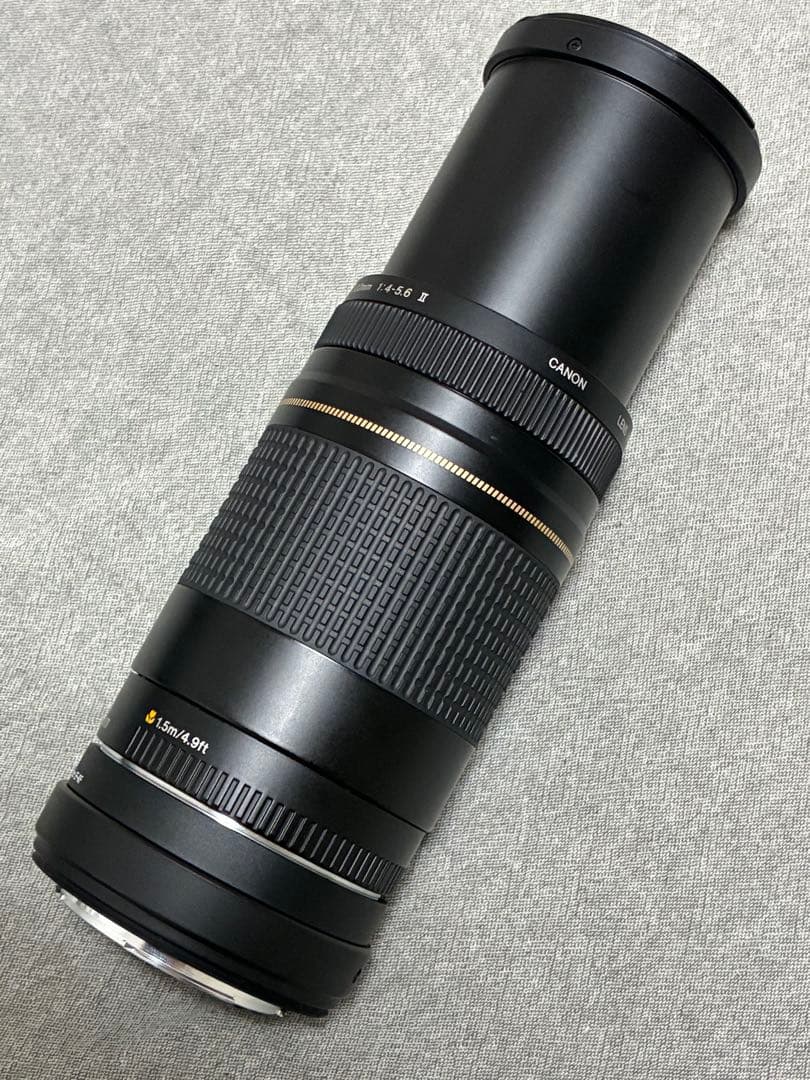 ⭐️美品⭐️Canon EFS 75-300 II & EF-EOS R アダプター