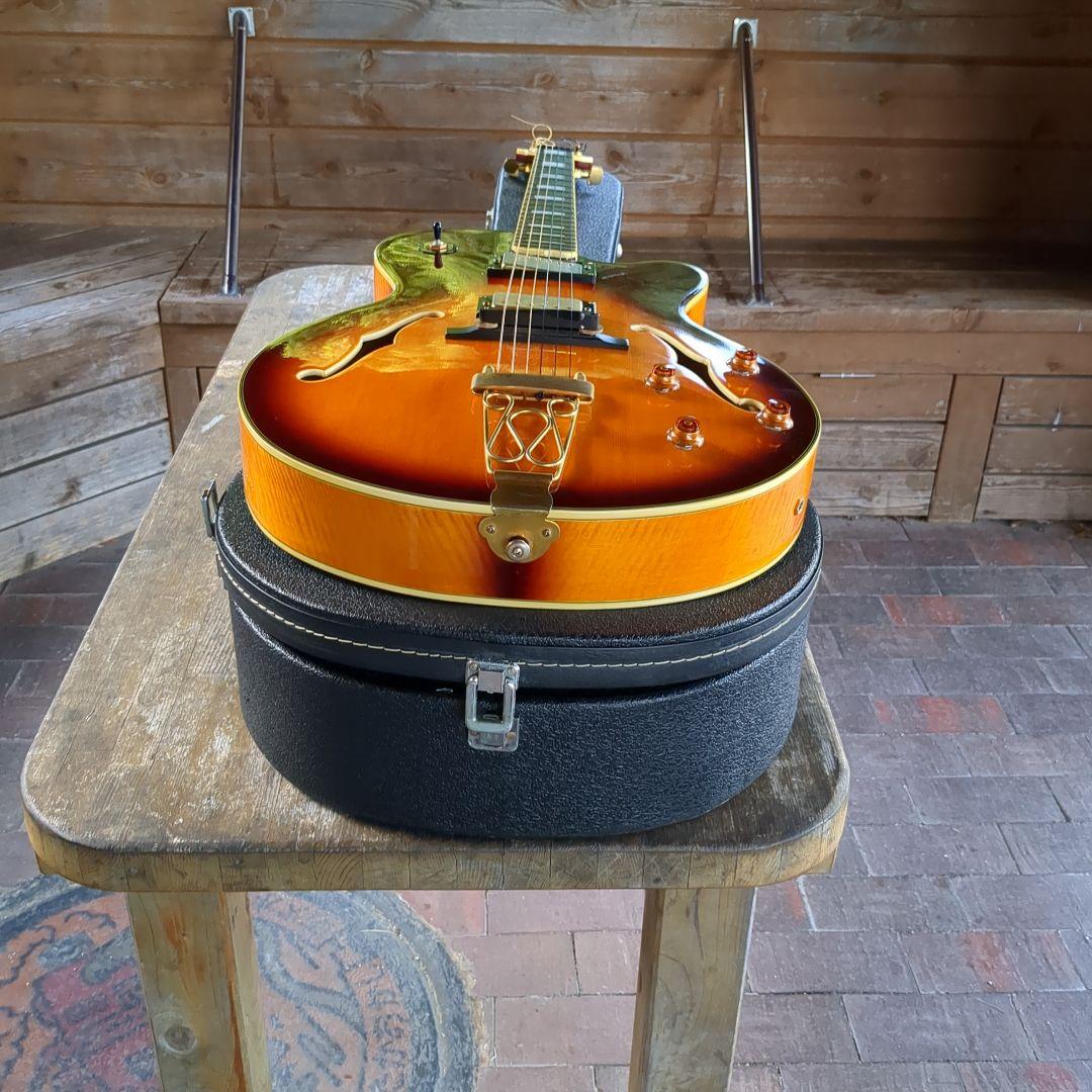 Epiphone joepass モデルフルアコースティックギター ケース付