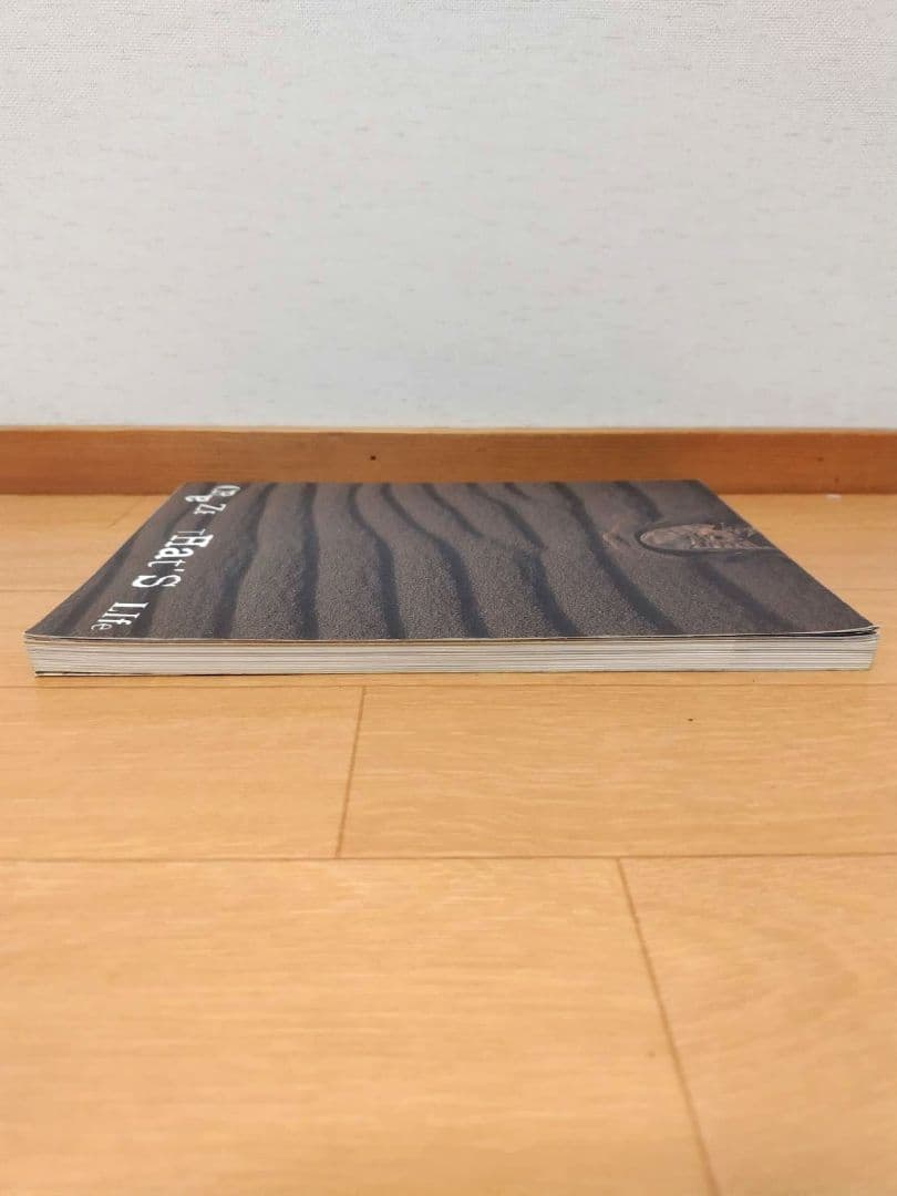 CRAZE THat’s LIfe バンドスコア