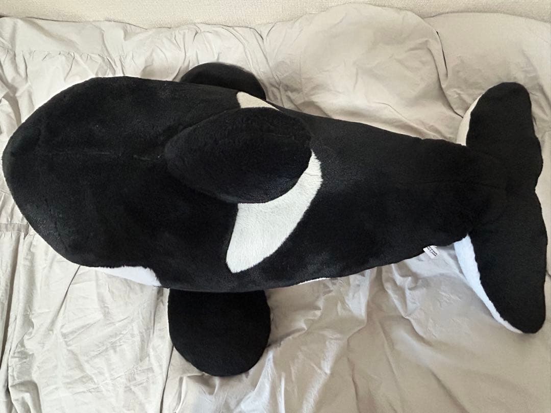 シャチくじ　特賞　特等　ぬいぐるみ　名古屋港水族館　100cm