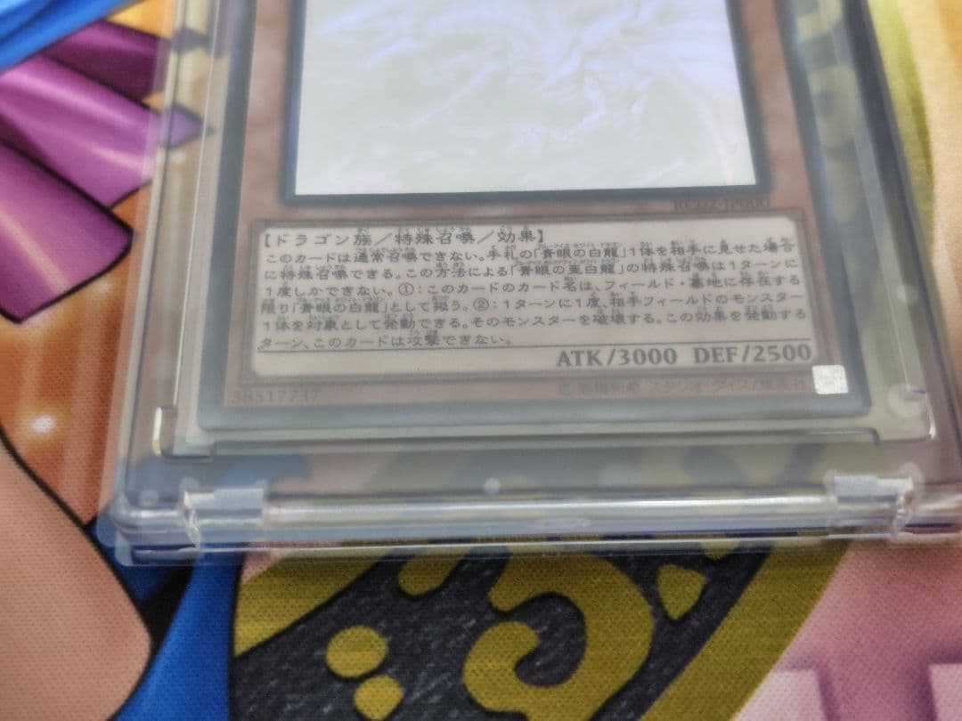 恵*丸様 ブルーアイズオルタナティブホワイトドラゴン・レドアイズ ホロ 各１枚