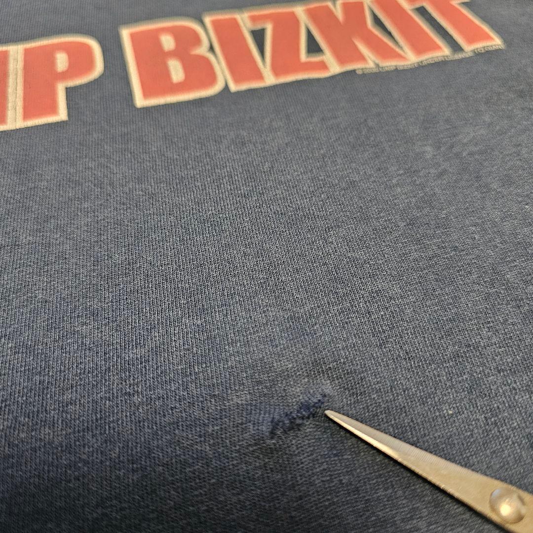 LIMP BIZKIT✨ ヴィンテージ バンドTシャツ