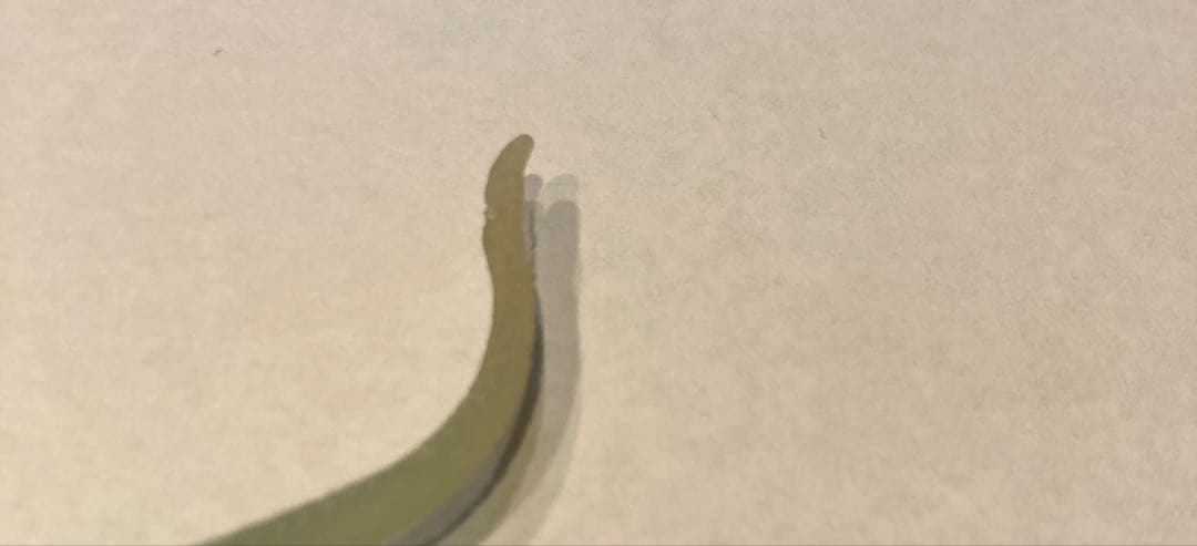 ディアゴスティーニ イグアナ&coコンプリート22体