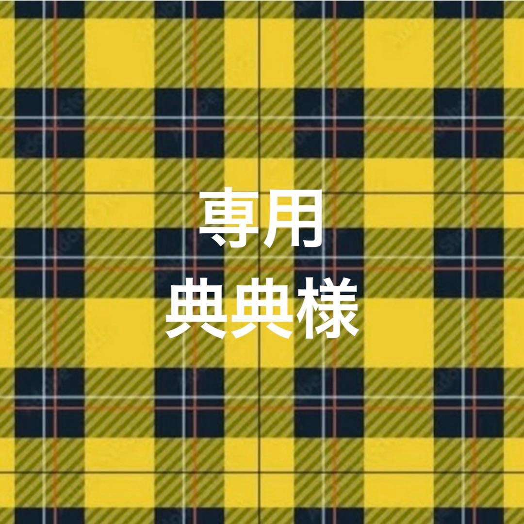 専用ページ 典典様1/30