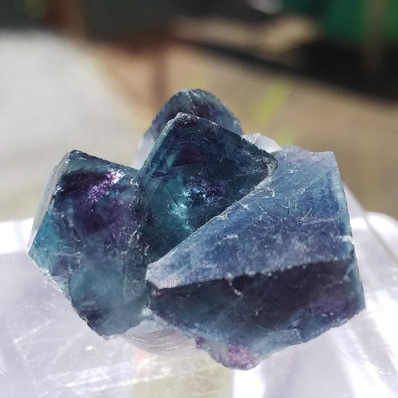 499 オコルス鉱山産 マリンブルー パープル フローライト