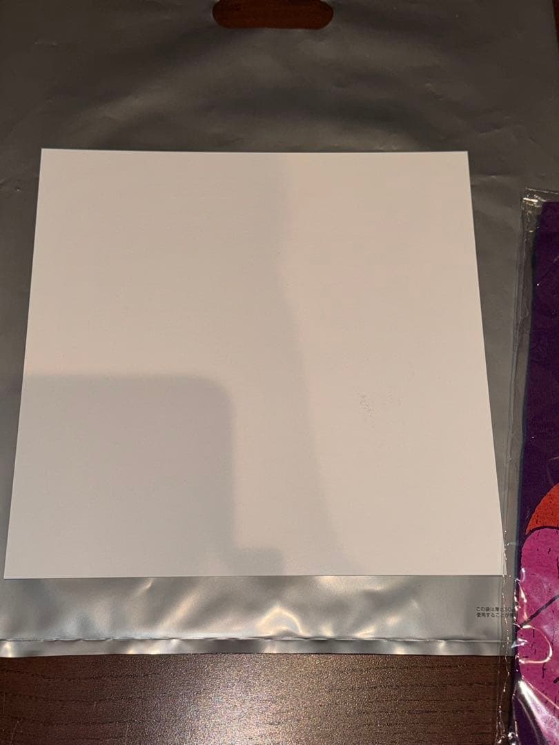 INABA／SALAS TOUR 2025 直筆サイン色紙・FC限定Tシャツ