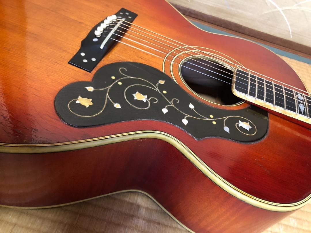 激レア 希少 カールヘフナー　496　アコギ ヴィンテージ