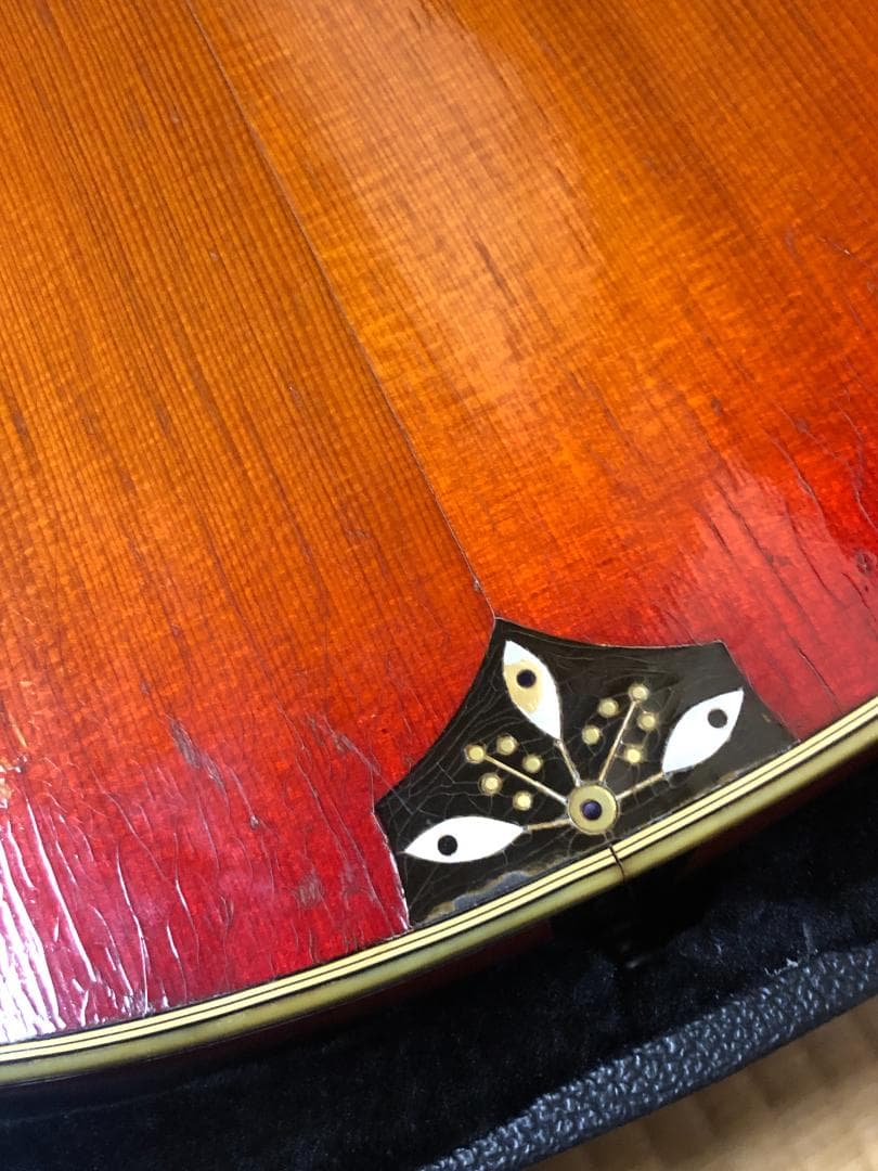 激レア 希少 カールヘフナー　496　アコギ ヴィンテージ