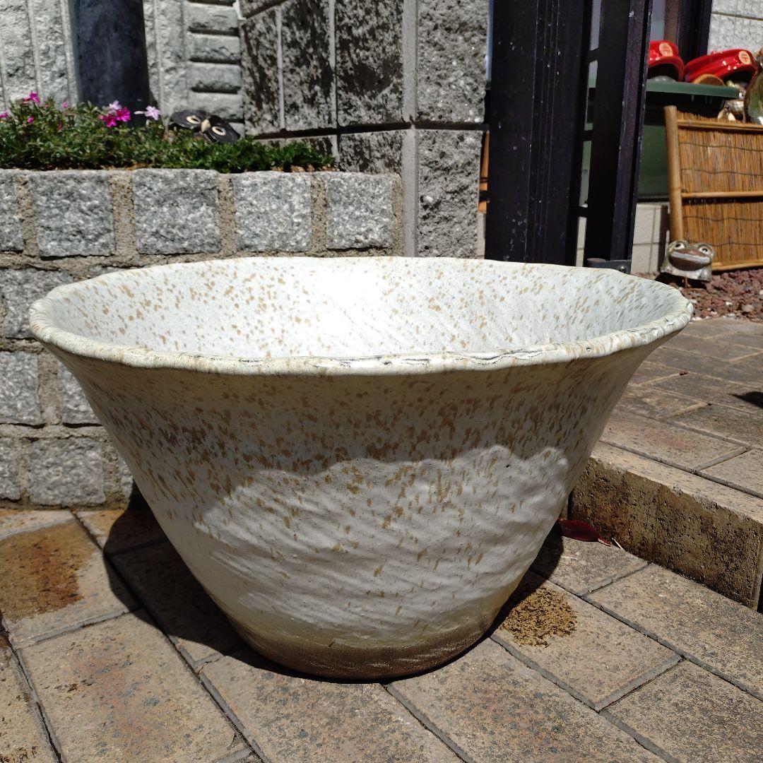 信楽焼　手作りめだか鉢　水連鉢　ビオトープ　直径55㌢