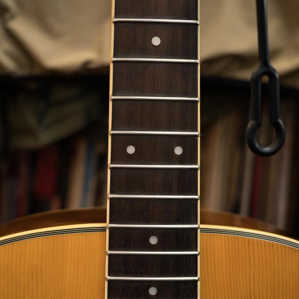 MORRIS MF-251 2000年 極上コンパクト