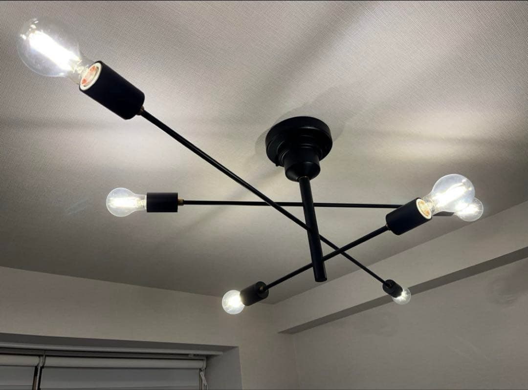 インターフォルム Astre アストル ブラック　シーリングライト　電球付属