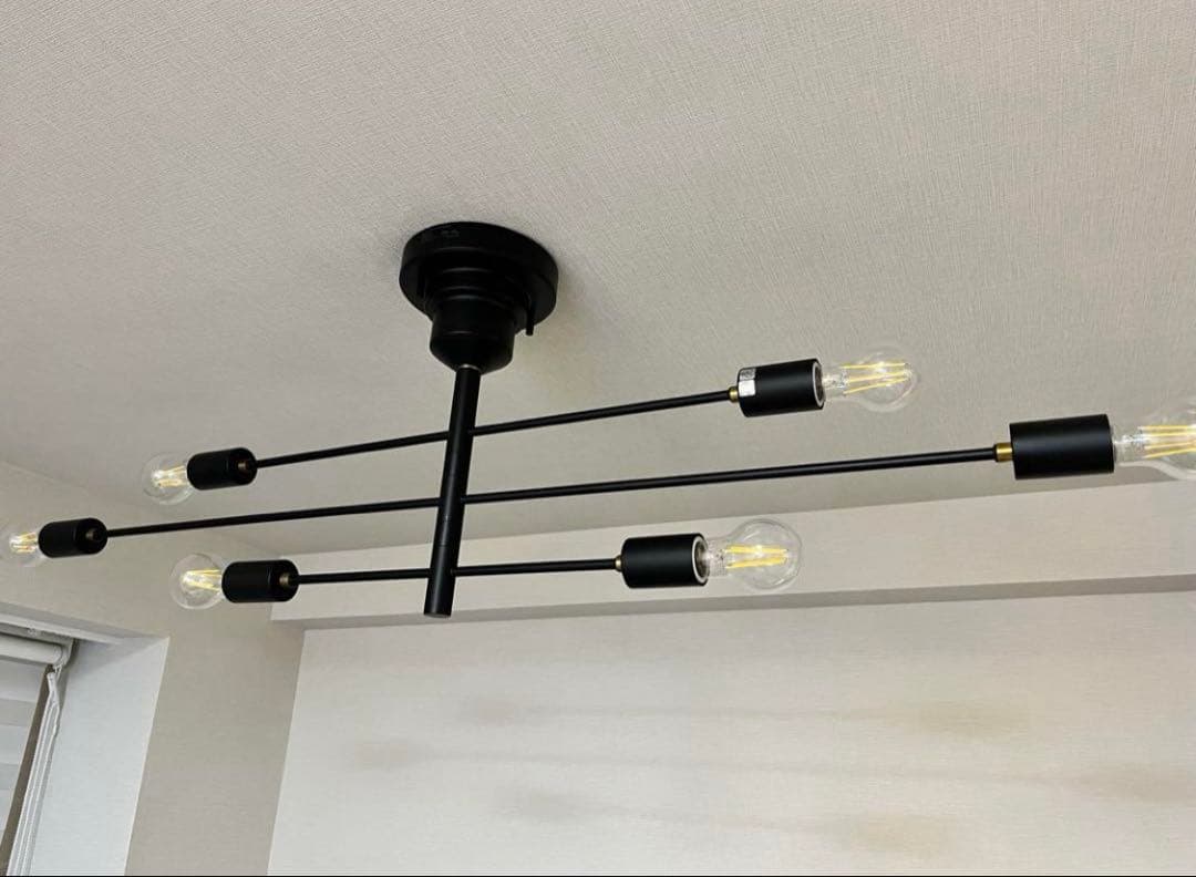 インターフォルム Astre アストル ブラック　シーリングライト　電球付属