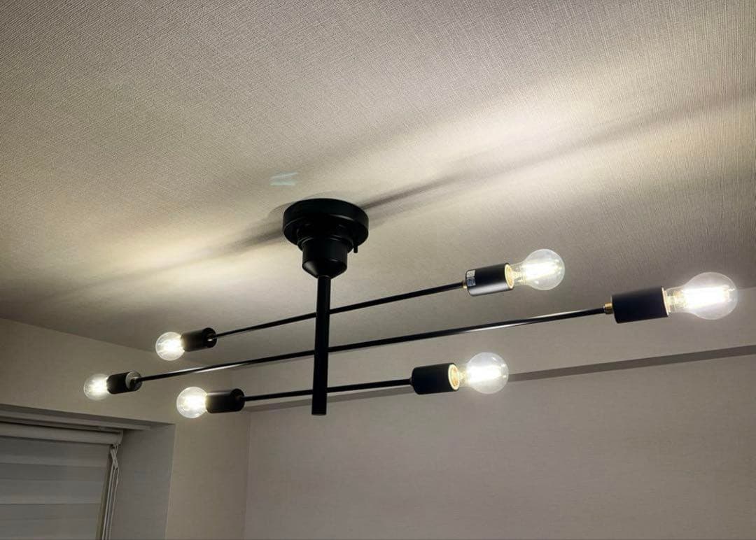 インターフォルム Astre アストル ブラック　シーリングライト　電球付属