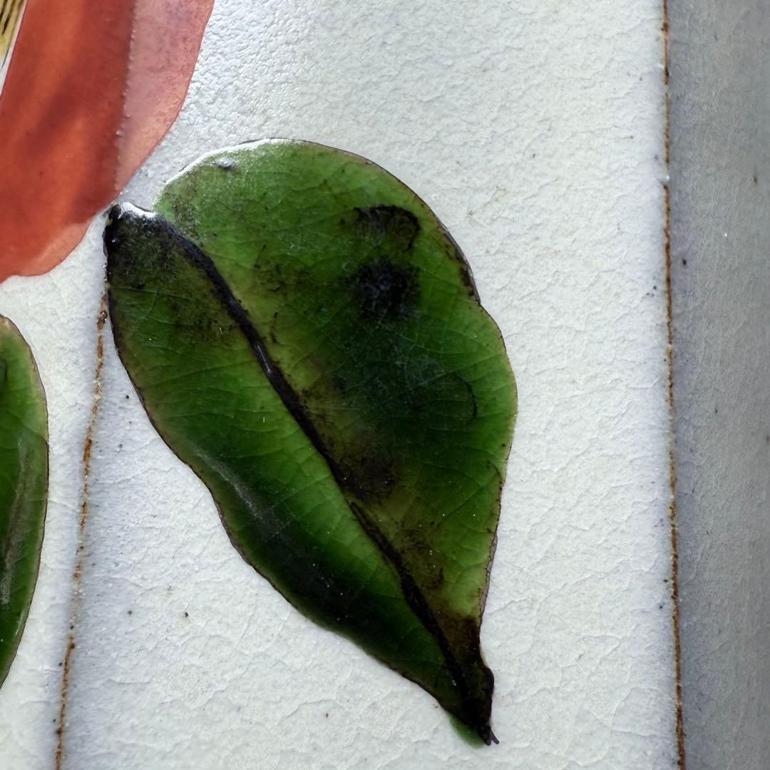 日本工芸会正会員　古川隆久　作　釉彩　椿文　花瓶　共箱 　益子焼　人気陶芸家