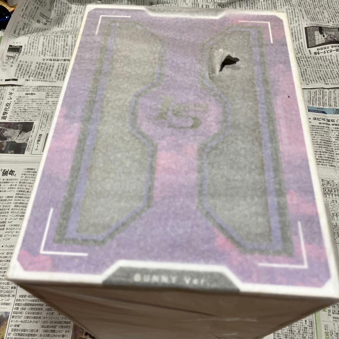 IS〈インフィニット・ストラトス〉 ラウラ・ボーデヴィッヒ バニー