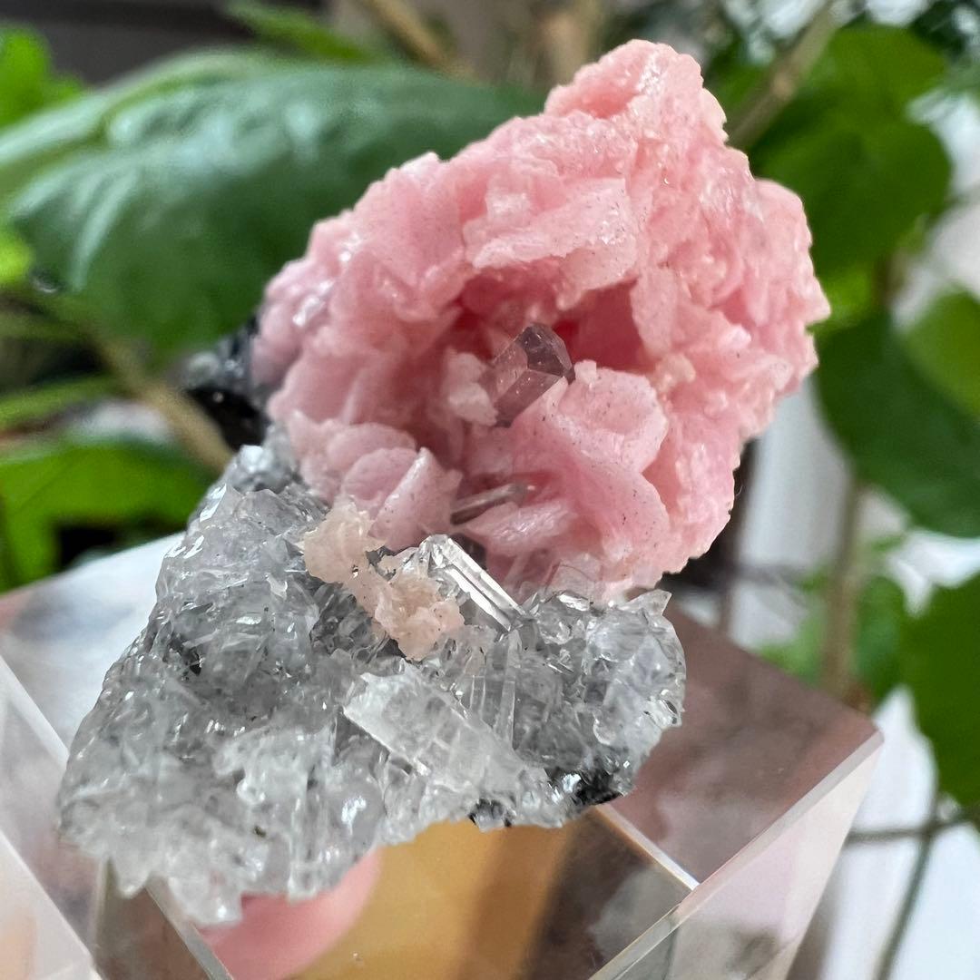 中国　広西チワン族自治区産　クォーツクラスター共生ロードクロサイト