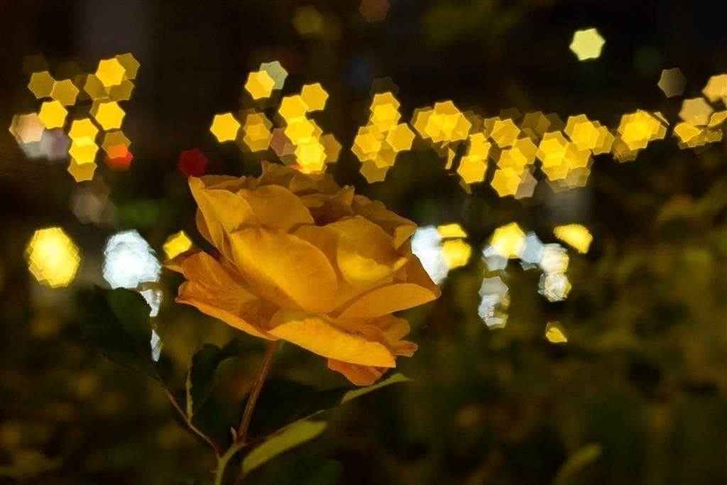 3　新品同様　星形ボケレンズ　MC VOLNA-9 50mm/f2.8