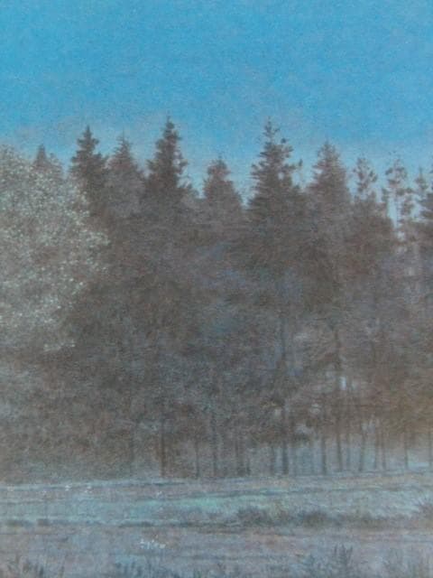 吉原慎介、【静かな森】、希少な額装用画集より、新品額装付、状態良好