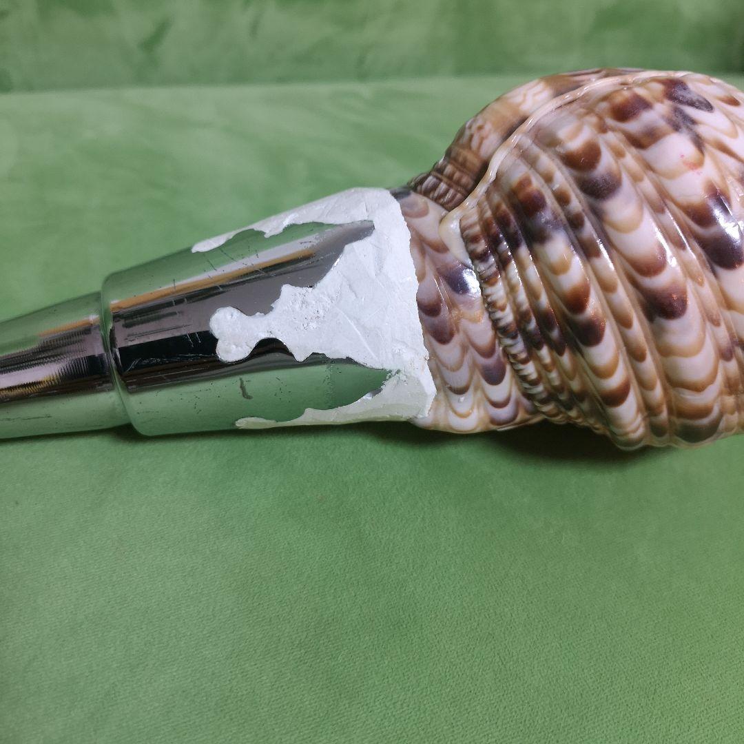 法螺貝　ホラ貝　クリスマス　プレゼント