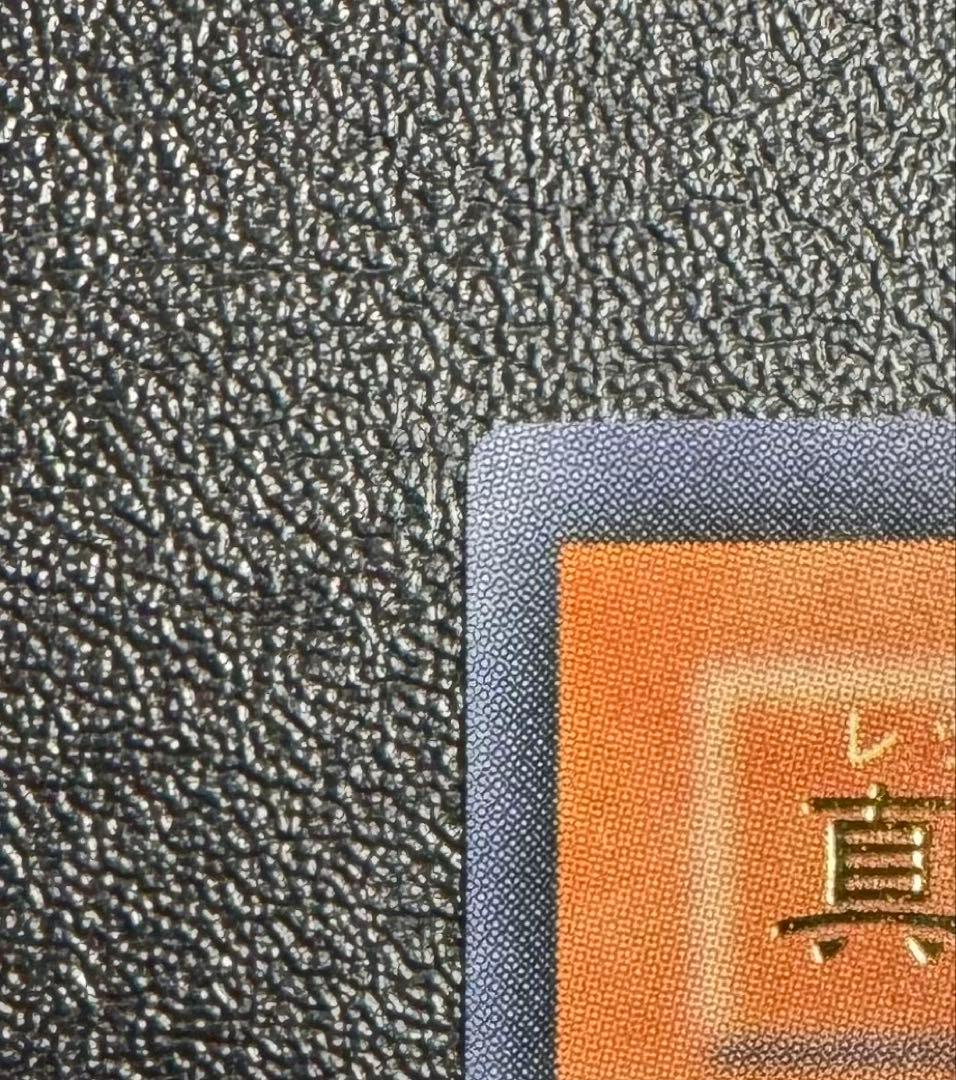 真紅眼の闇竜/レッドアイズダークネスドラゴン/ ドラゴン族/遊戯王/レリーフ