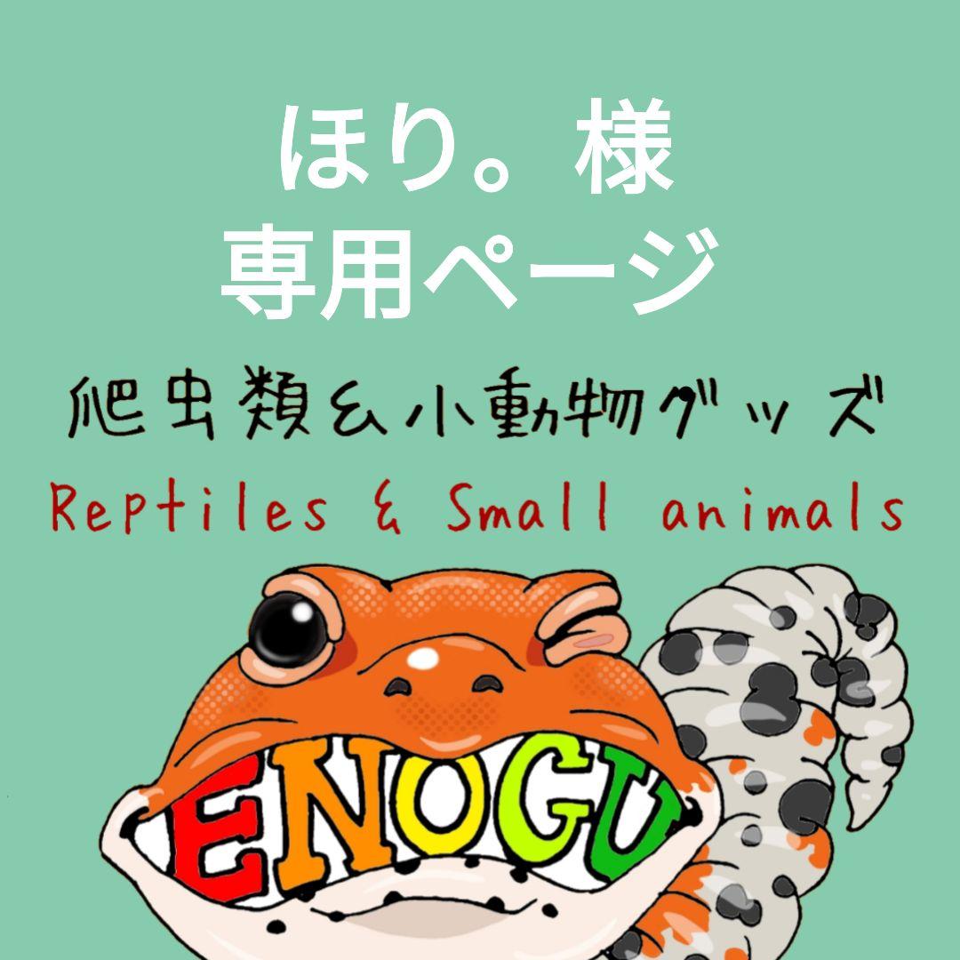 [ほり。]爬虫類ステッカー