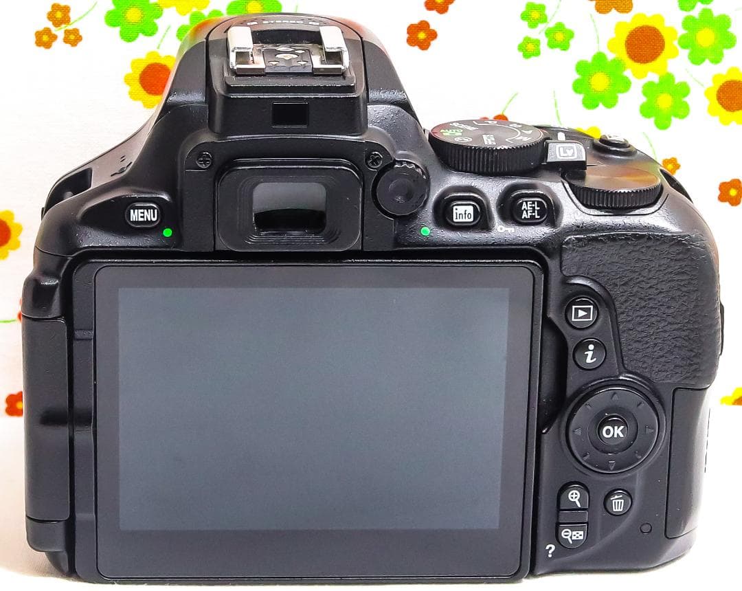 ニコン Nikon D5600☆スマホに転送☆高性能一眼レフ☆自撮り可能！