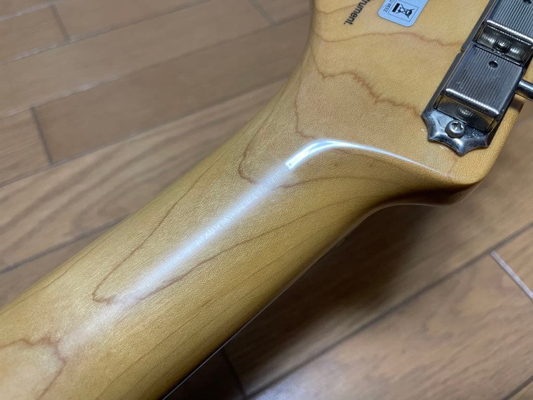 fujigen（FGN） SNST101-BK 【限定生産品】