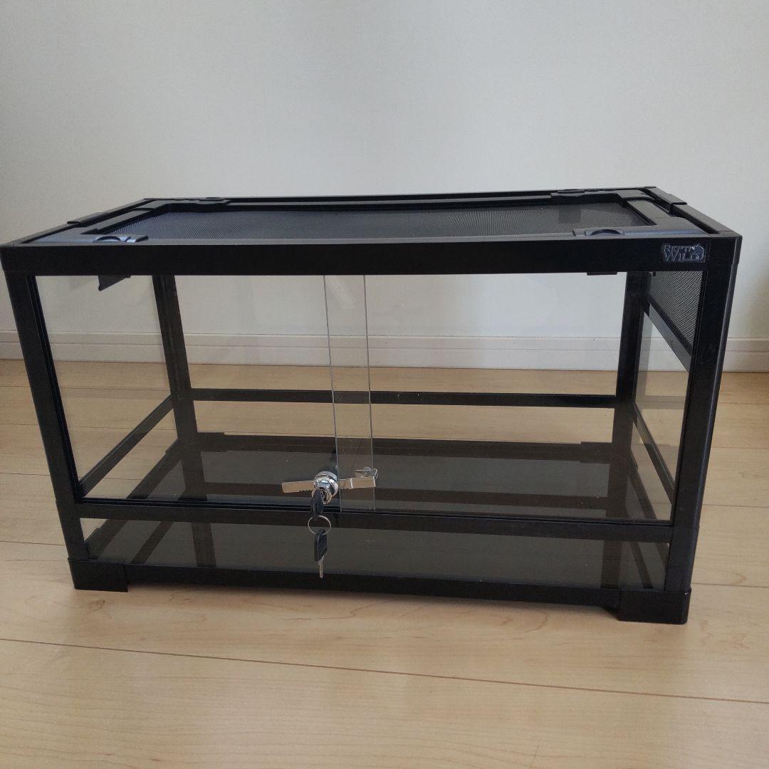 REPTI WILD 　パンテオン BK6035