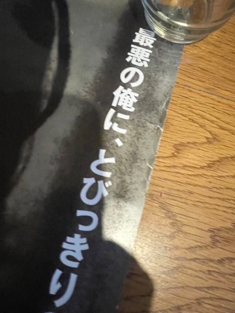 【超希少】伝説映画B1ポスター『バッファロー’66』 ヴィンセント・ギャロ