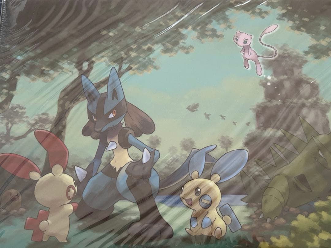 ポケモンギャラリーコレクション　杉森健　ファイルセット　ケース付き　一部欠品あり