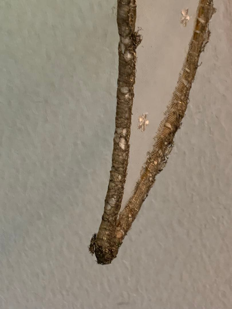 フランスアンティーク　レースの羽 チュールレース オブジェ