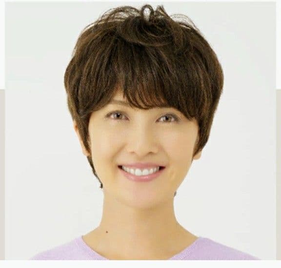 新品62%オフ‼️アートネイチャーJO ふんわり高品質ウィッグ マッシュショート