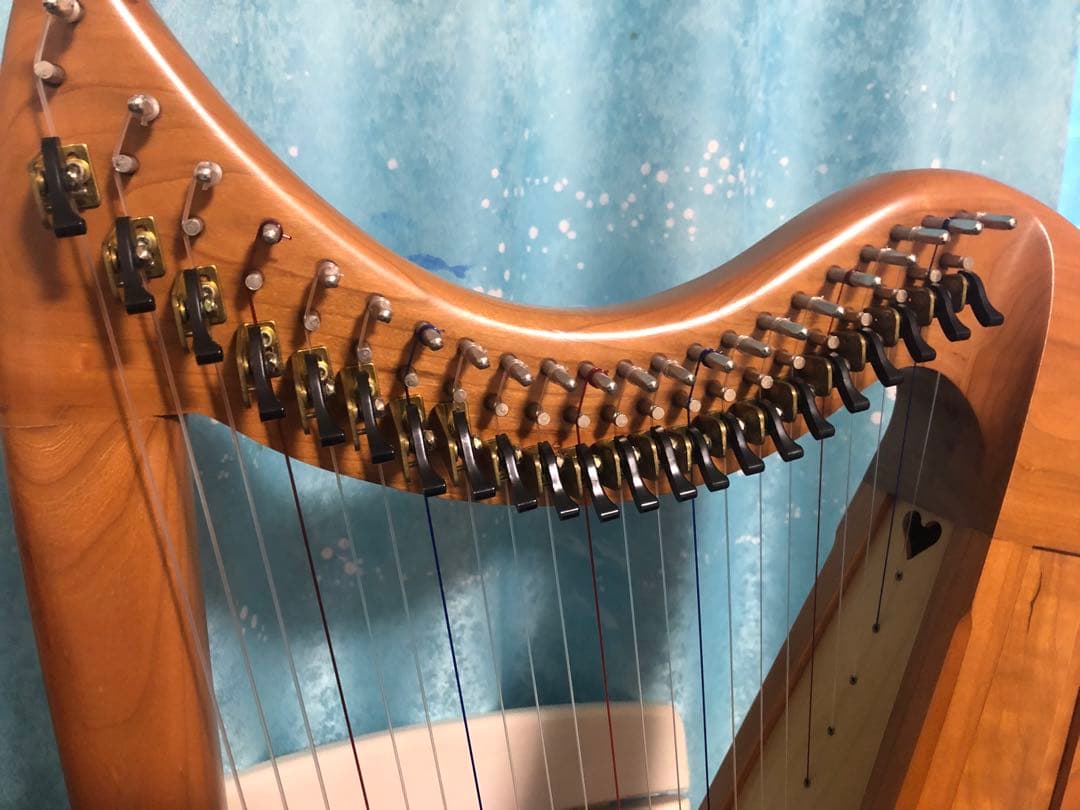 はなちゃん　Stoney End Eve イヴ　ハープ アイリッシュハープ