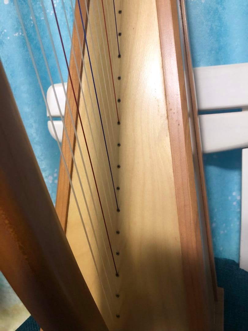 はなちゃん　Stoney End Eve イヴ　ハープ アイリッシュハープ