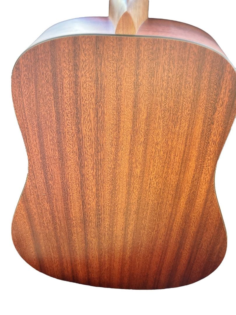 Martin & Co. DXM Dreadnought アコースティックギター