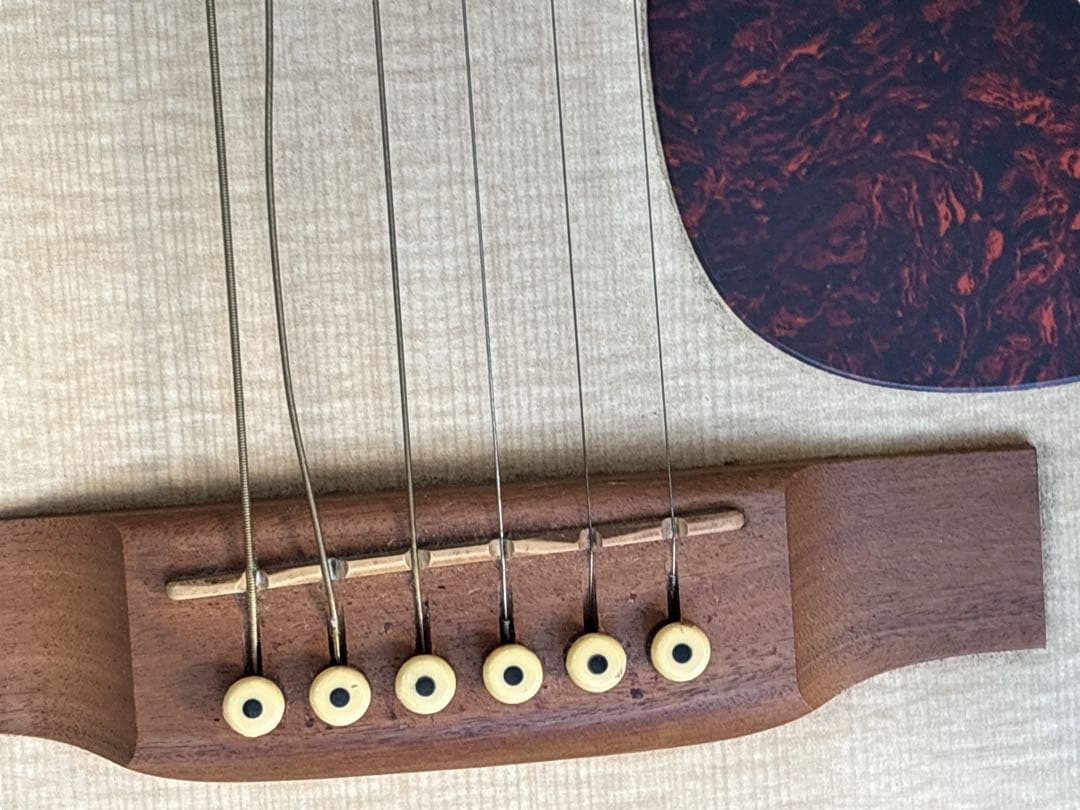 Martin & Co. DXM Dreadnought アコースティックギター
