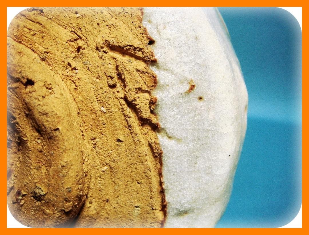 251『志野茶碗 共箱』　/骨董品 古美術 古道具 アンティーク