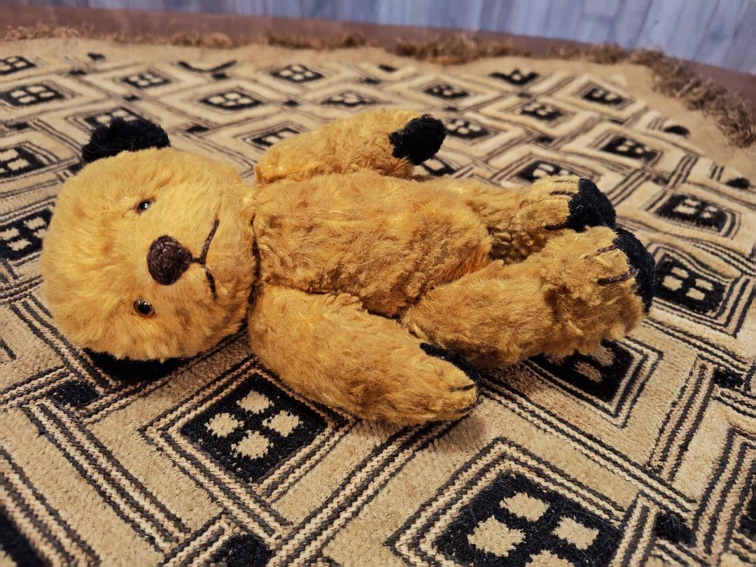 スーティー 1950年代