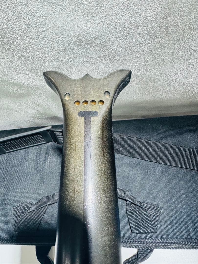 ARIA Sinsonido AS-490s サイレントギター