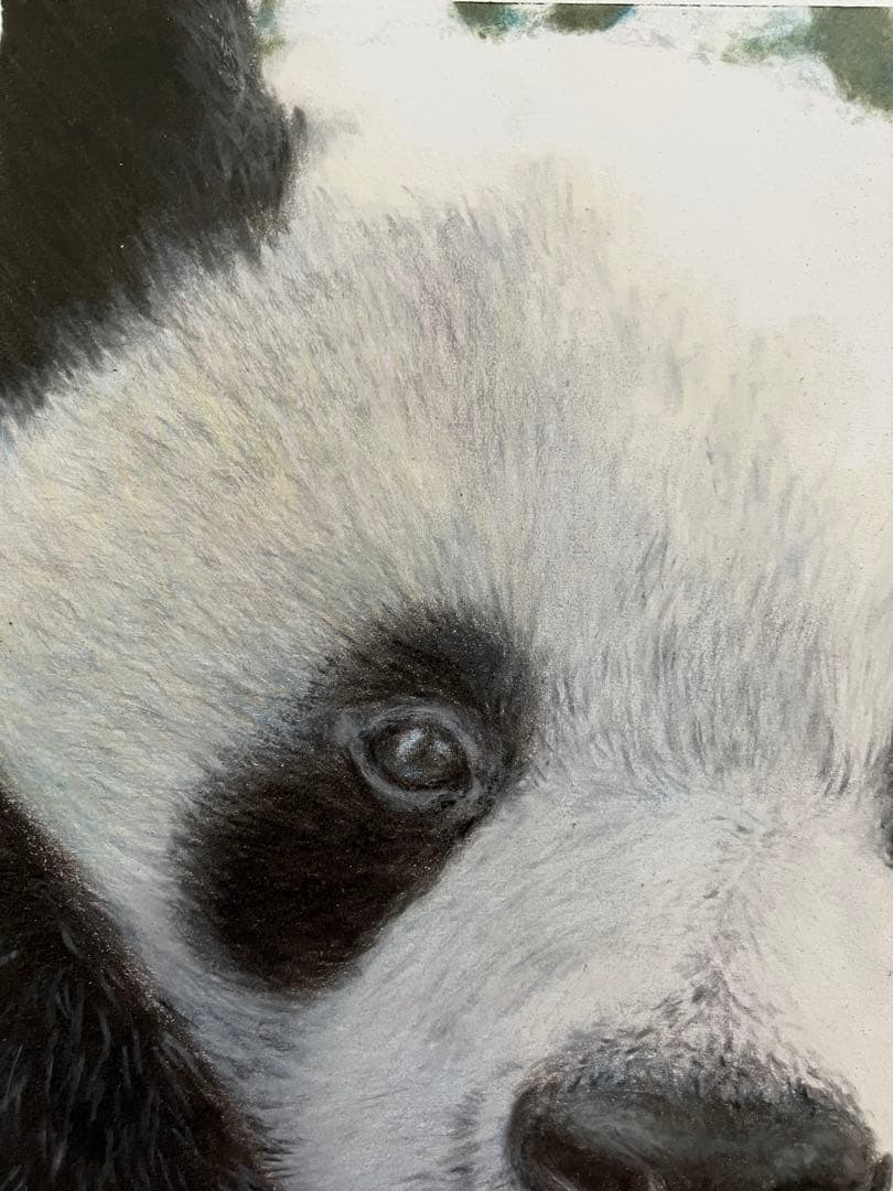 “やっほい” 色鉛筆画 パステル パンダ