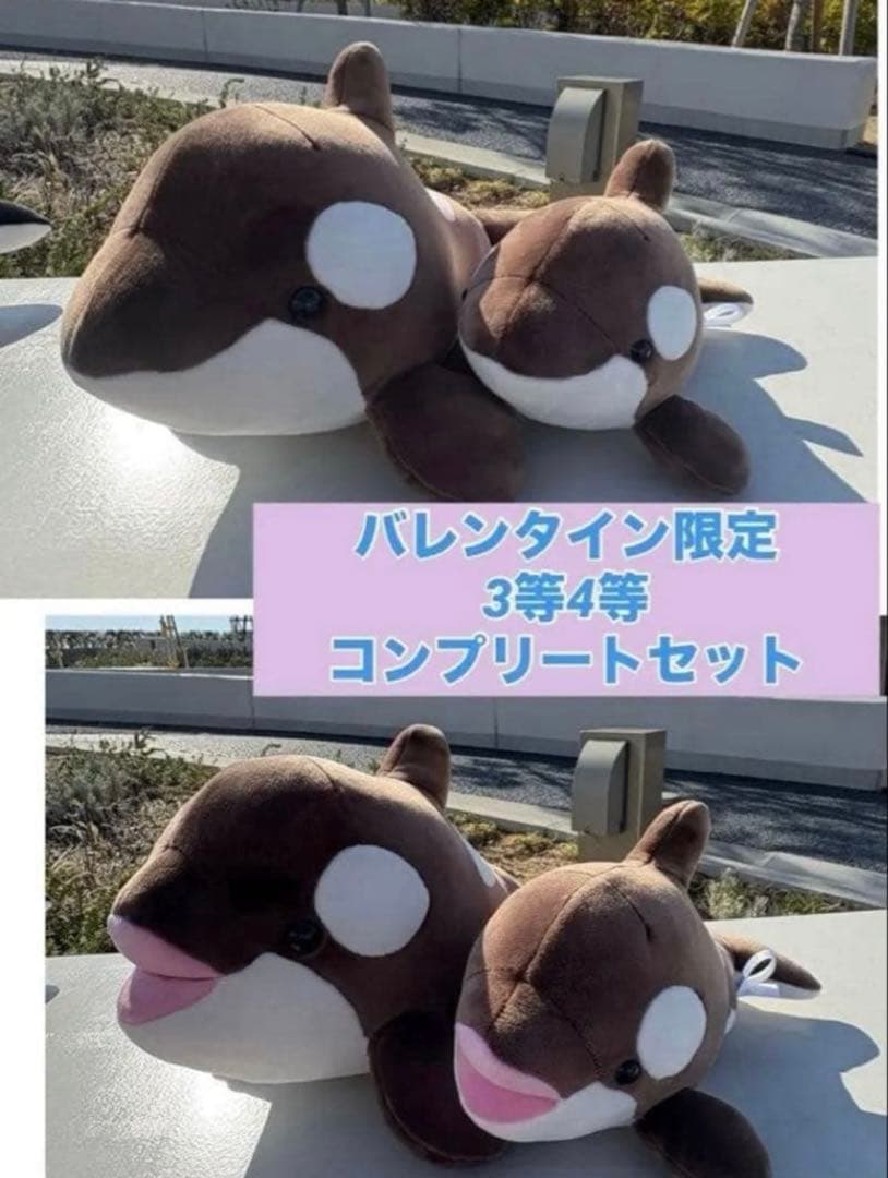 新登場！神戸須磨シーワールド　シャチ　オルカくじ　限定　3等4等セット