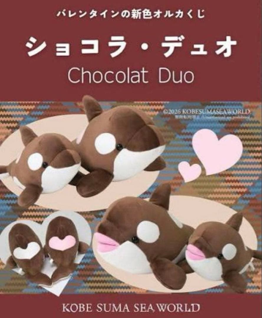 新登場！神戸須磨シーワールド　シャチ　オルカくじ　限定　3等4等セット