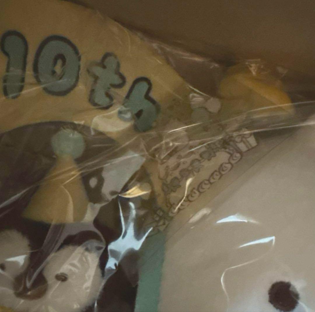 新品未開封 特典カード付き！ 10th記念 ぬいぐるみ ねこぺん日和