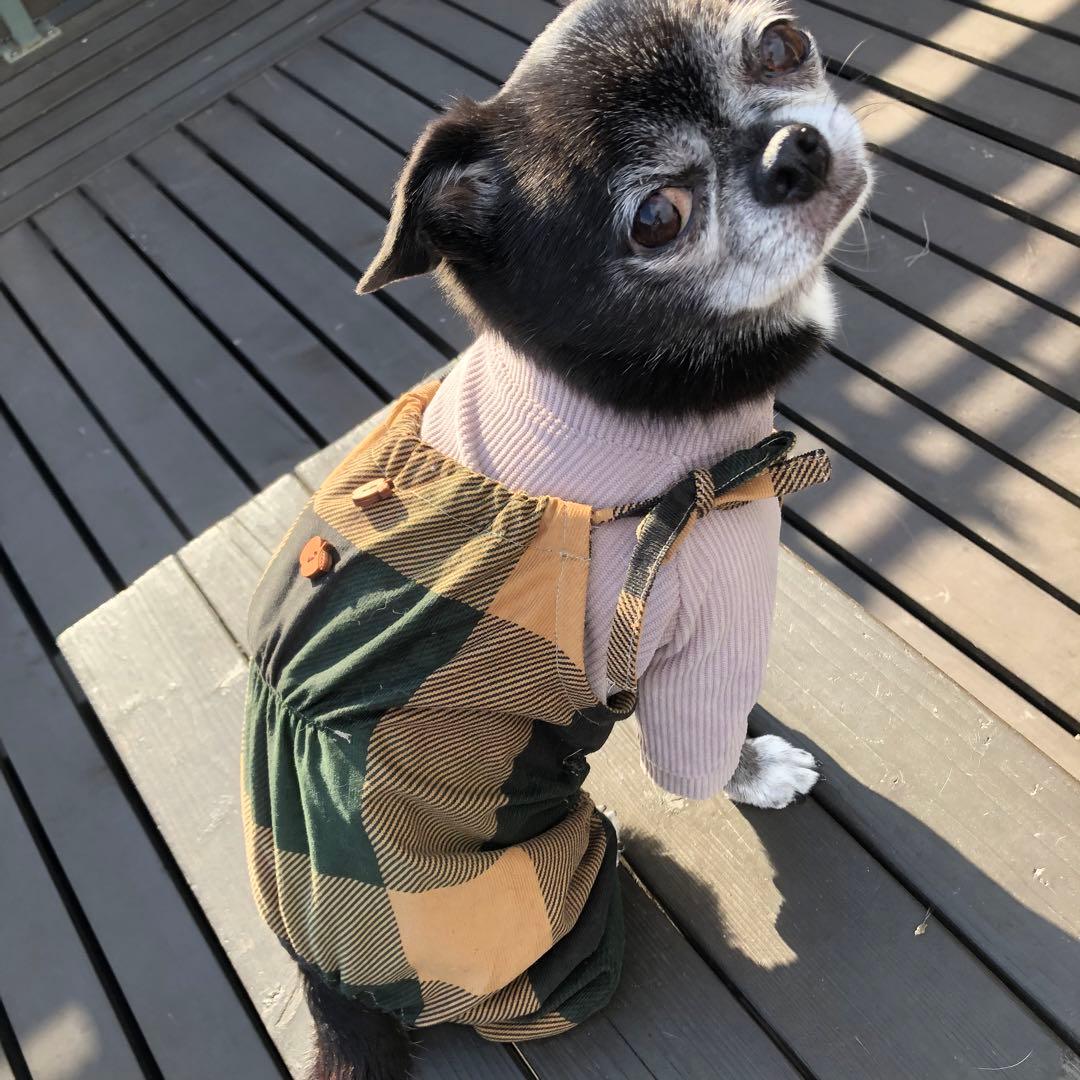 ハンドメイド　後ろギャザーサロペット　オーダー小型犬