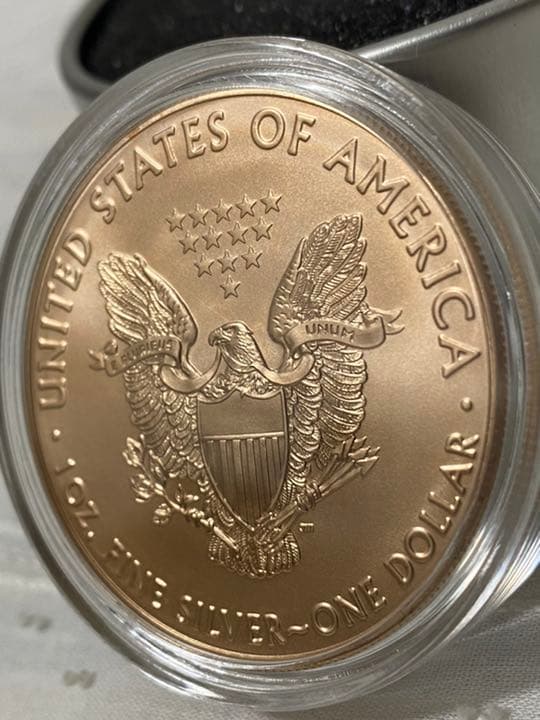 2019　アメリカンイーグル　リバティ　ルイアームストロング　天然石　銀貨