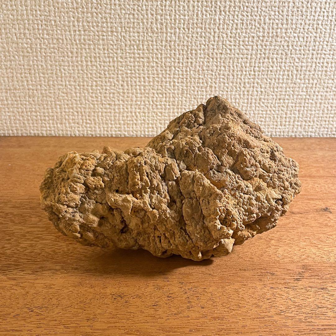 恐竜の糞（コプラライト）900g