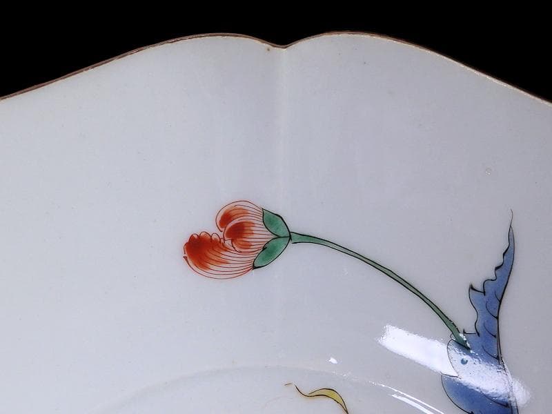 大聖寺伊万里　色絵　芙蓉の図　膾皿　F041AS-CQv