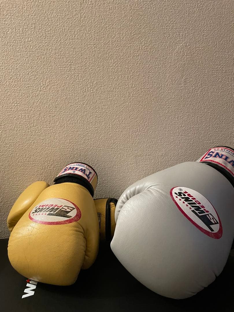 TWINS ボクシンググローブ 8oz 16oz 金銀