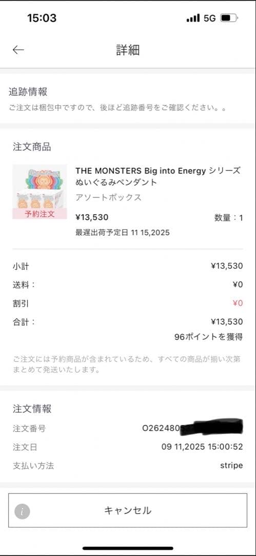 ラブブ Big into Energy アソート 正規品 6体 セット