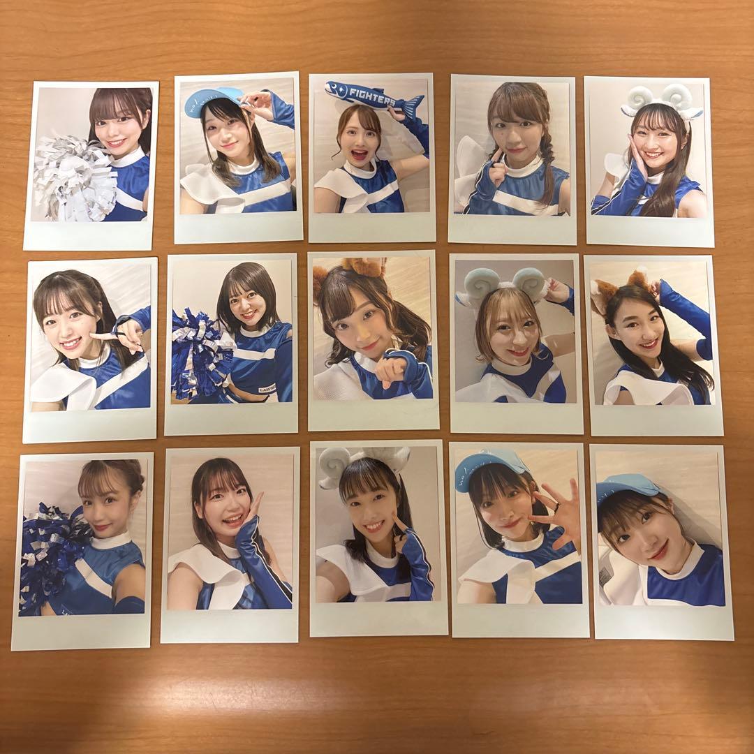 ファイターズガール チェキ 15枚セット